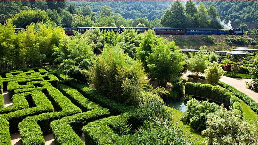 Le labyrinthe végétal de la Bambouseraie