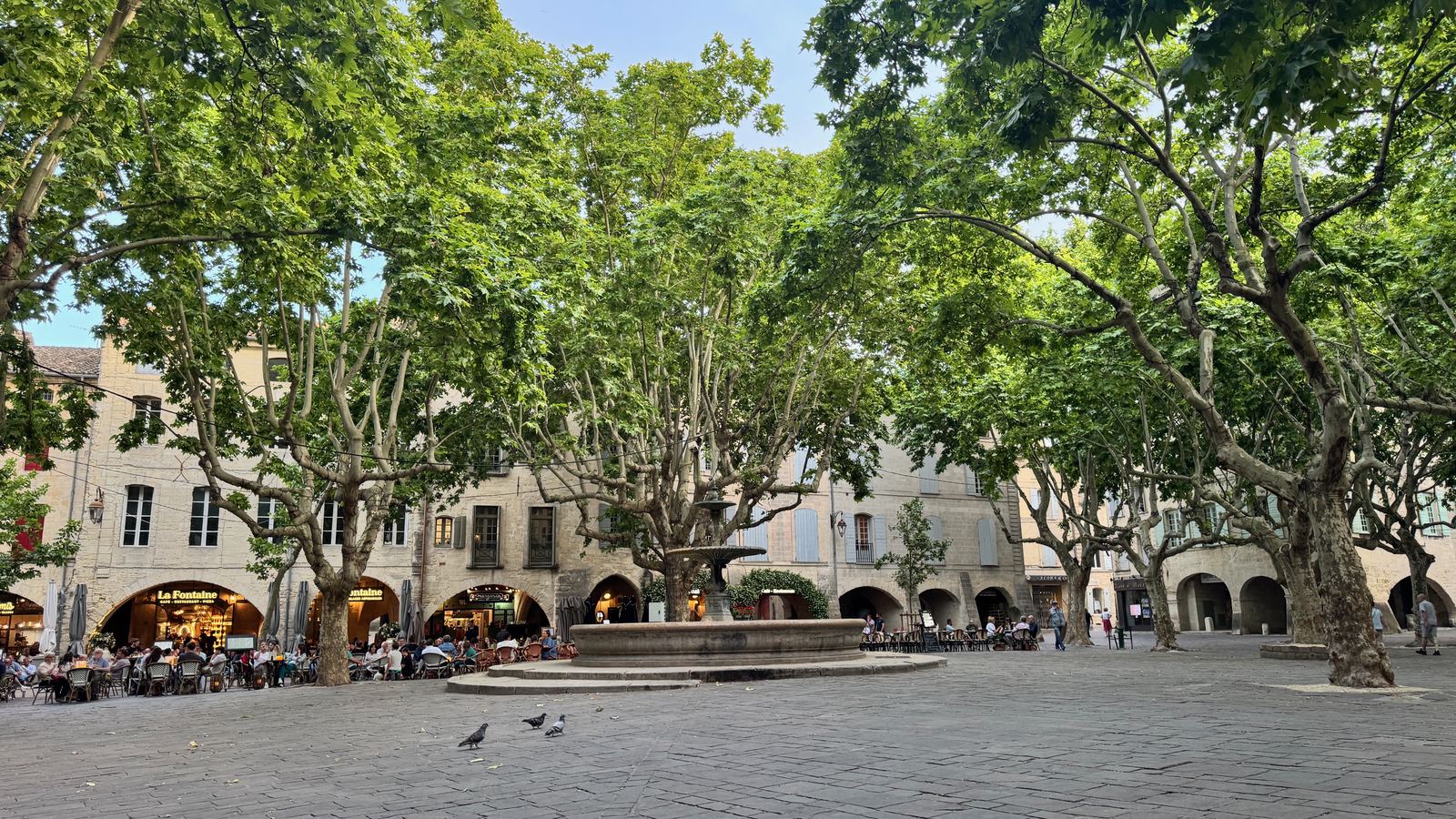La place aux Herbes, sa fontaine et ses platanes