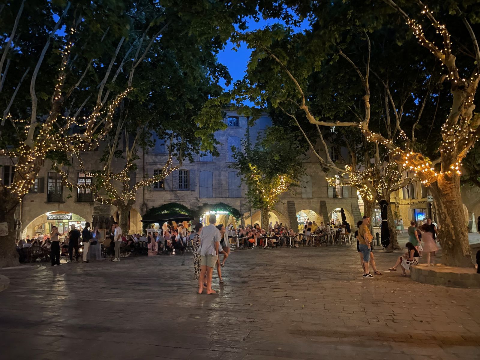 La place aux Herbes le soir, guirlandes dans les platanes